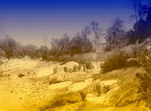 OASIS ET LE M ZAB 00008 L OUED DE BOU SAADA